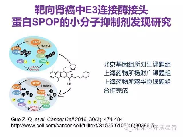 《癌症细胞》（Cancer Cell）同期发表上海药物所两篇、上海科研人员三篇研究成果--- “SPOP抑制剂发现和SPOP作为肾癌药物发现靶标的可能性”简介