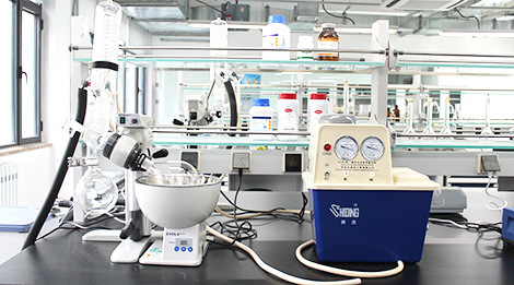 Research Fields